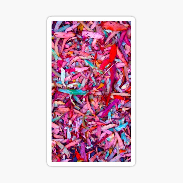 Item preview, Rainbow Gum Leaves - by South Australian artist Avril Thomas designed and sold by MagpieSprings.