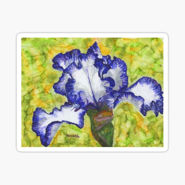 Item preview, Blue and White Iris designed and sold by Marcella Chapman.