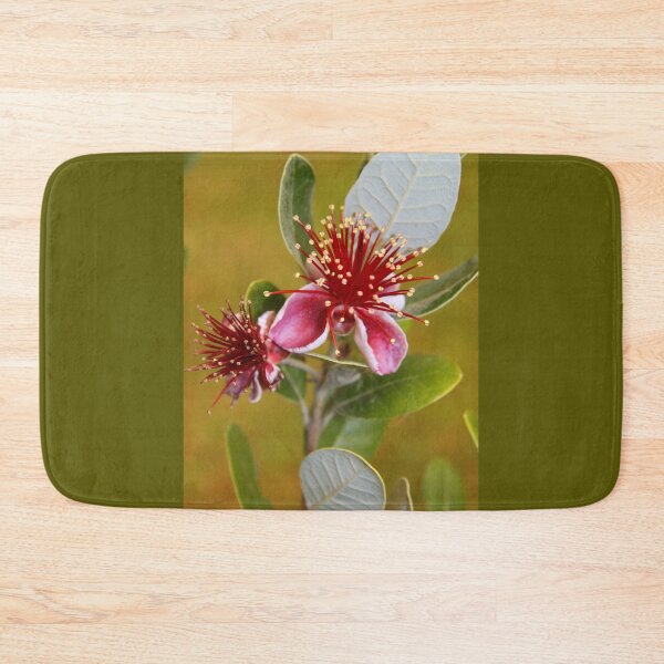 Item preview, Feijoa designed and sold by coffeebean.