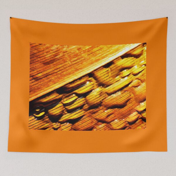 Item preview, Wet and Dry designed and sold by PictureNZ.
