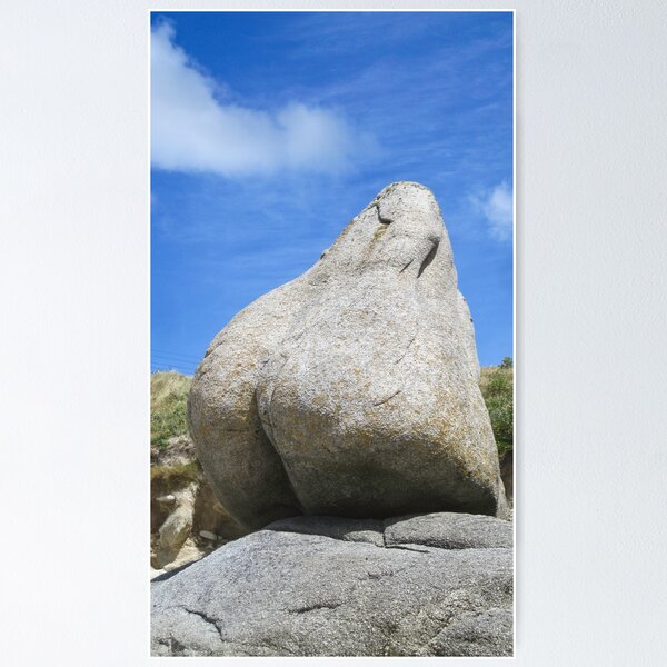 Item preview, Giant Rock Ass designed and sold by timtopping.