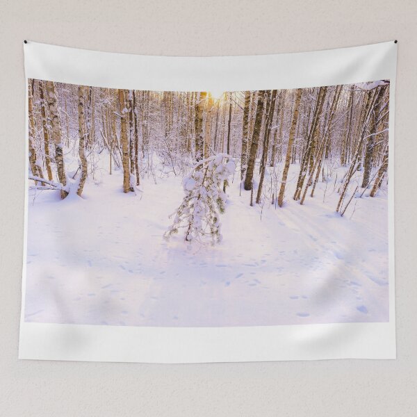 Item preview, Young pine tree in the snow on birches forest glade in the light of the morning winter sun designed and sold by yarvin13.