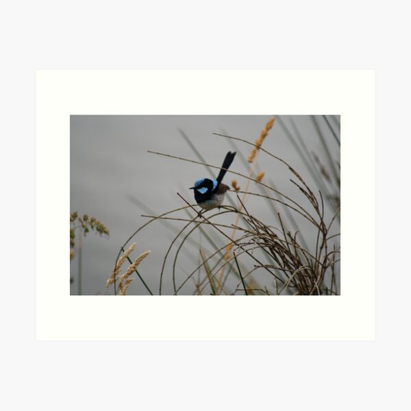 Item preview, Blue in the Rain designed and sold by cate38.