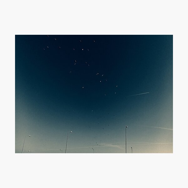 The background noise (2) Photographic Print