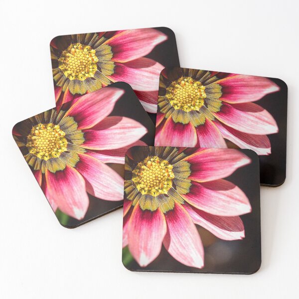 Item preview, Flowers (MKW-F.86) designed and sold by Katrina Morgan.