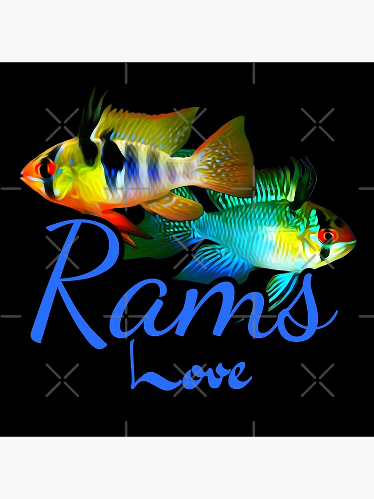 ram cichlids love german blue ram aquarium fish tank owners gift art print by catxel redbubble ram cichlids love german blue ram aquarium fish tank owners gift art print by catxel redbubble