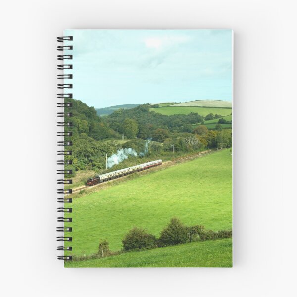 Item preview, Dart Valley Steam  designed and sold by hawkie.