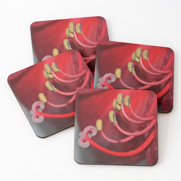Item preview, Amaryllis Macro designed and sold by AnnDixon.