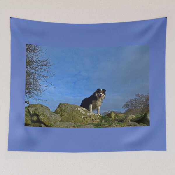 Item preview, The Sky's The Limit. designed and sold by Michael Haslam.