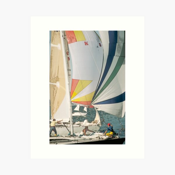 Sailing And Boating Knots Poster by Andy Steer - Fine Art America