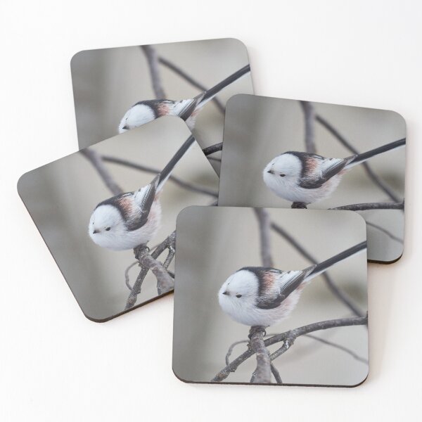 Item preview, Cutie. Long-tailed tit designed and sold by Jouko Lehto Photography.