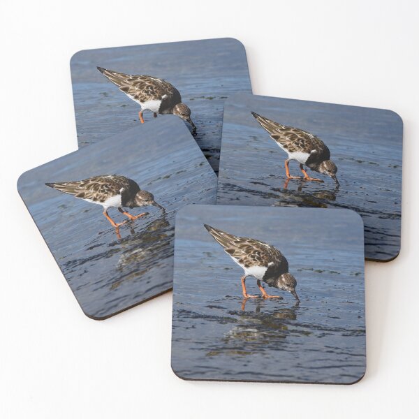 Item preview, Ruddy Turnnstone looking for Food designed and sold by photosbypamela.