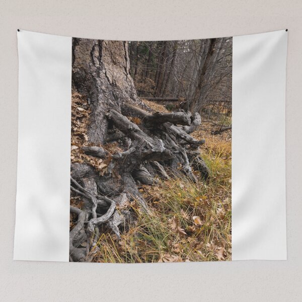Item preview, Yosemite Series 2546 designed and sold by PsychoAlien.com.