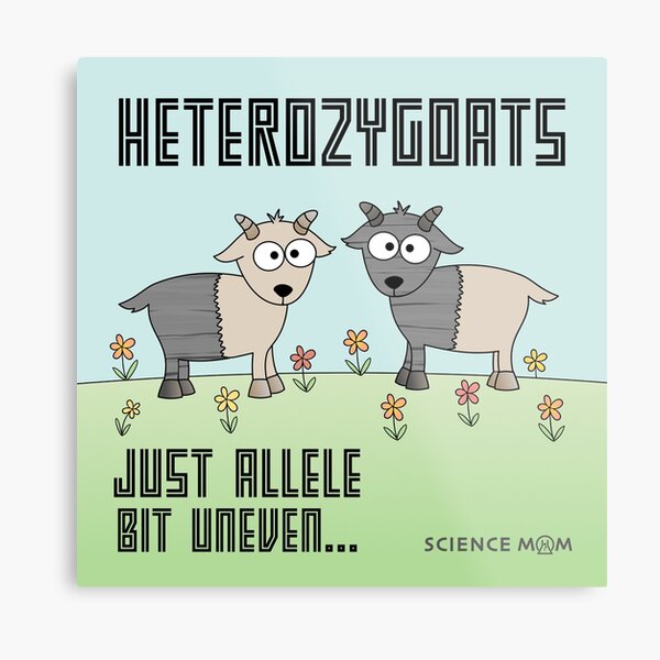 Heterozygoats Metal Print