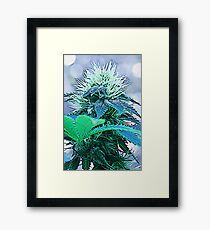 Cartoon Bud Framed Print