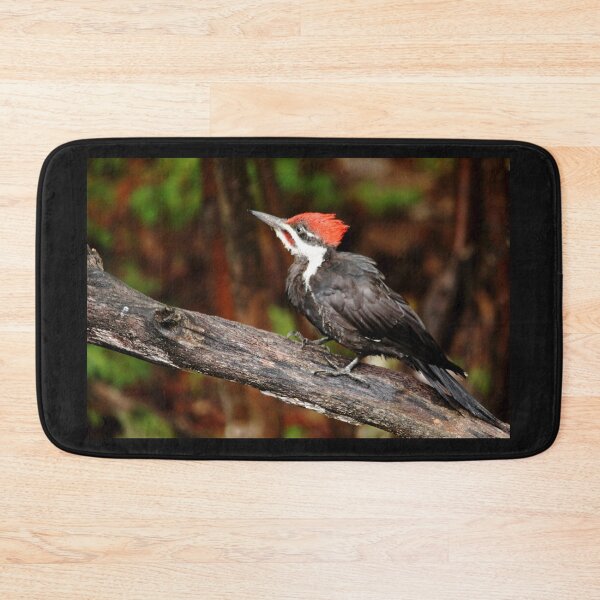 Item preview, Pileated Woodpecker designed and sold by Debbie Oppermann.