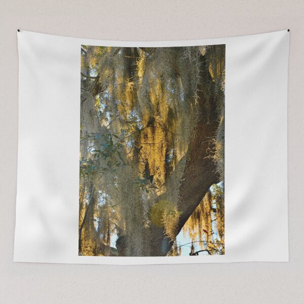Item preview, Spanish Moss designed and sold by LisaWootenPhoto.