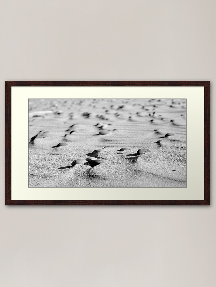 Alternate view of Beach Detail 2: Pebbles Framed Art Print