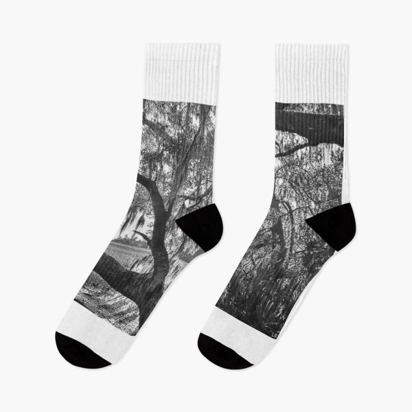 Item preview, Sunburst Through The Oak Trees Black And White designed and sold by LisaWootenPhoto.