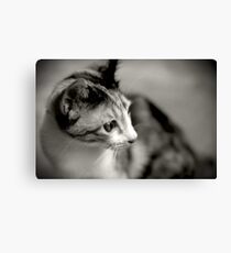 Playing Canvas Print