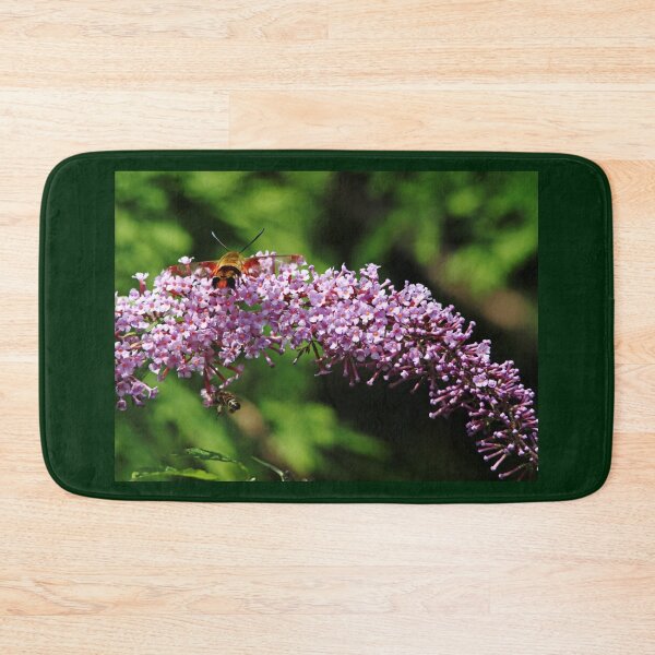 Item preview, Clearwing Moth And The Bee designed and sold by Debbie Oppermann.