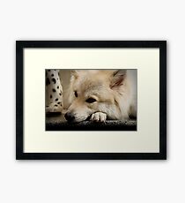 Bored Framed Print