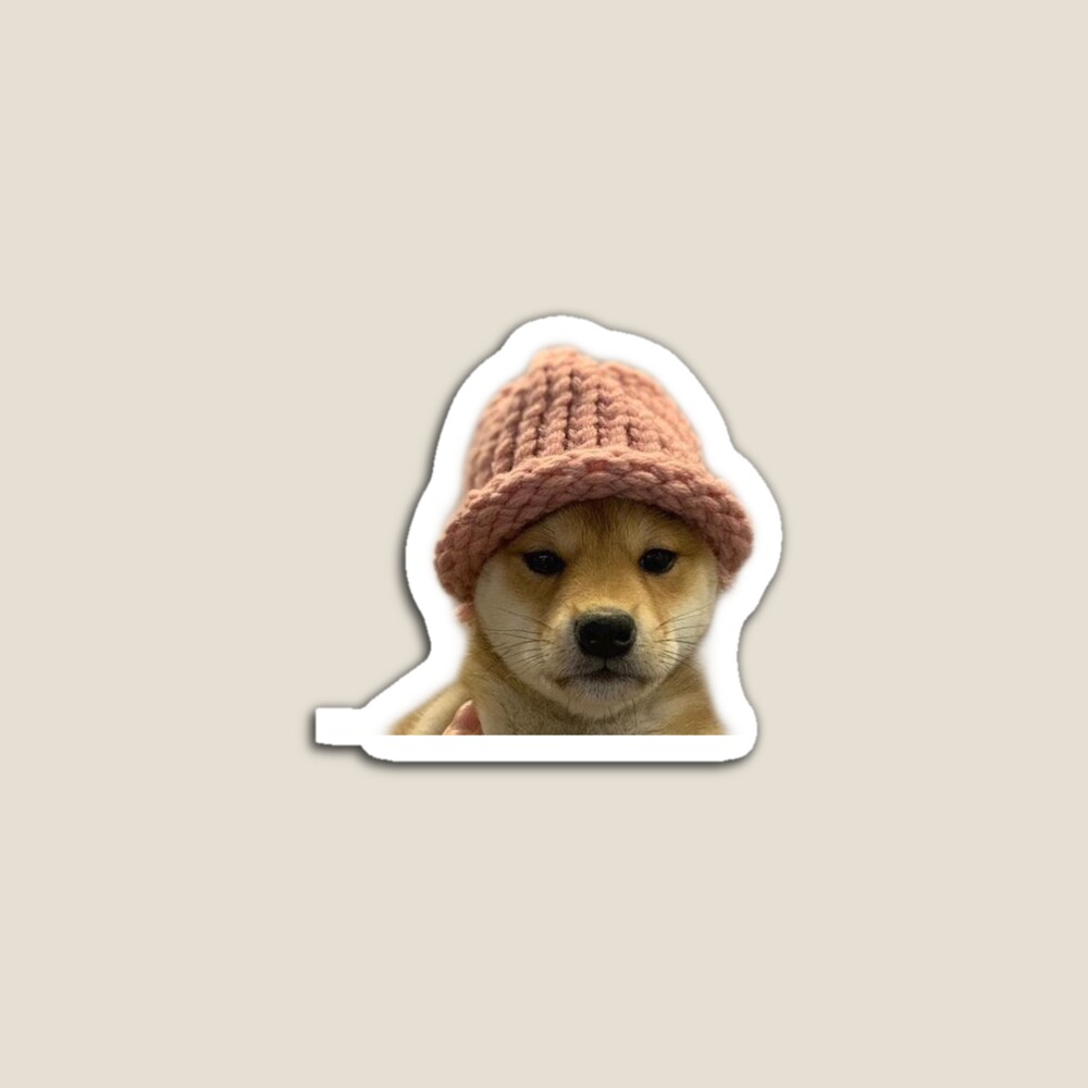 Dog wif Bear Hat Sticker for Sale by RoyalChump