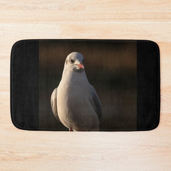 Item preview, Black Headed Gull designed and sold by cmphotographs.