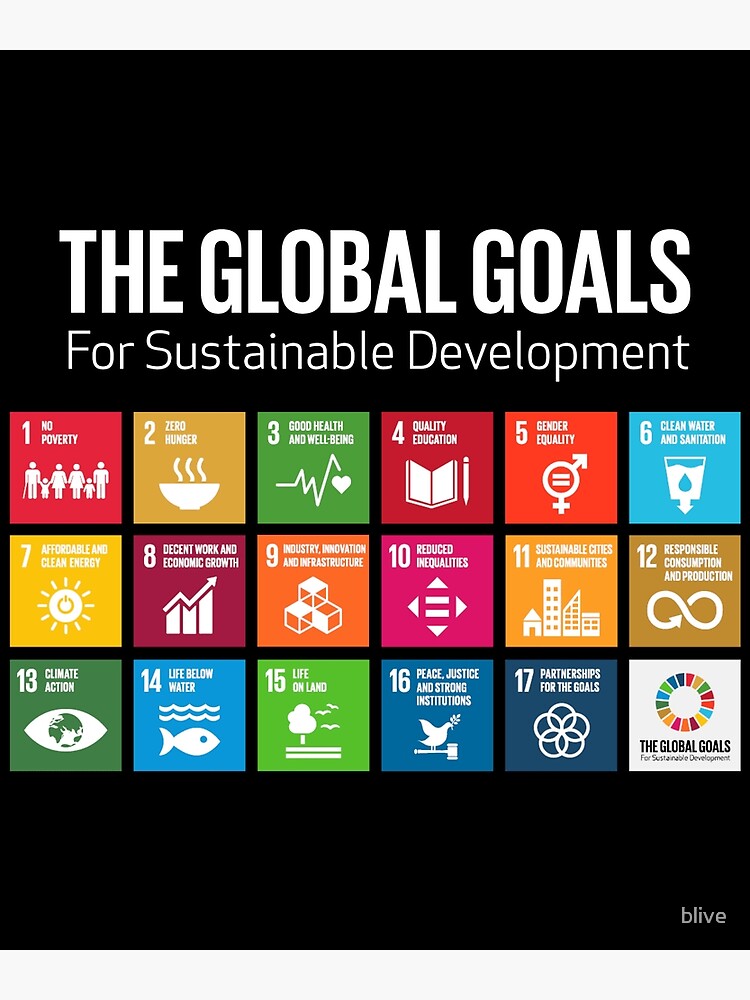 The Global Goals 17 Global Goals Icons Grid Premium Matte Vertical ...