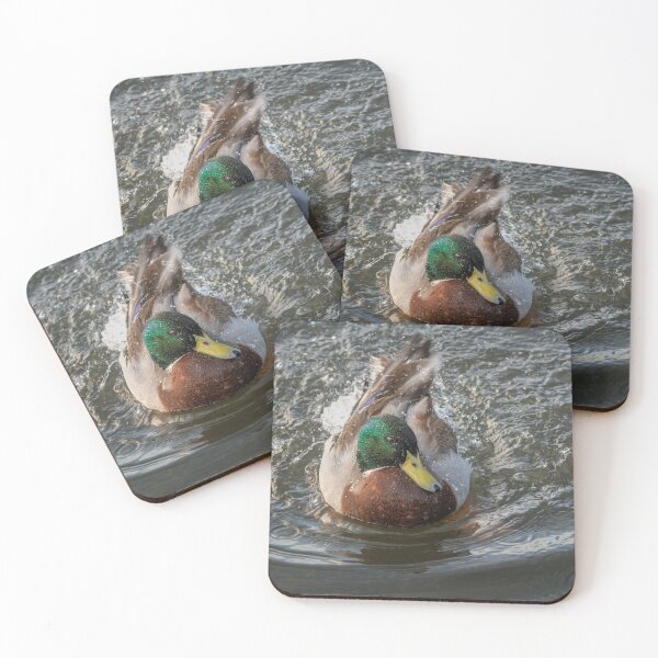 Item preview, A wet duck designed and sold by cmphotographs.