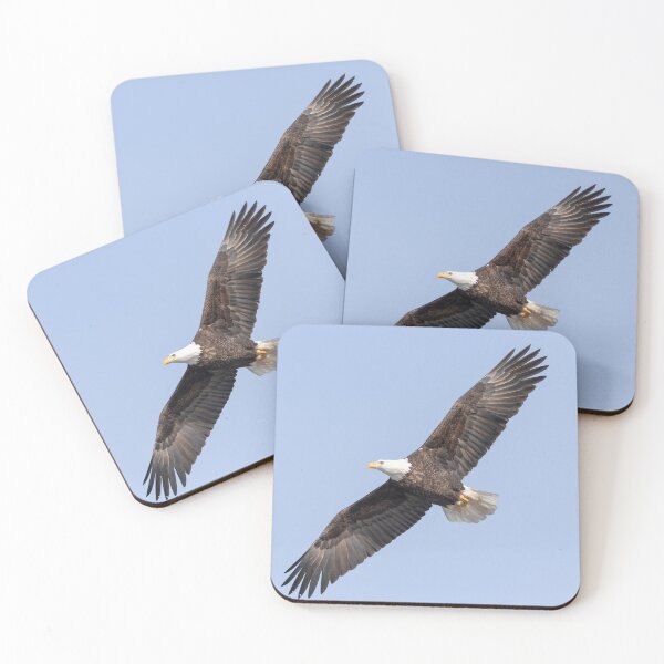 Item preview, Bald Eagle 2019-18 designed and sold by Thomasyoung.