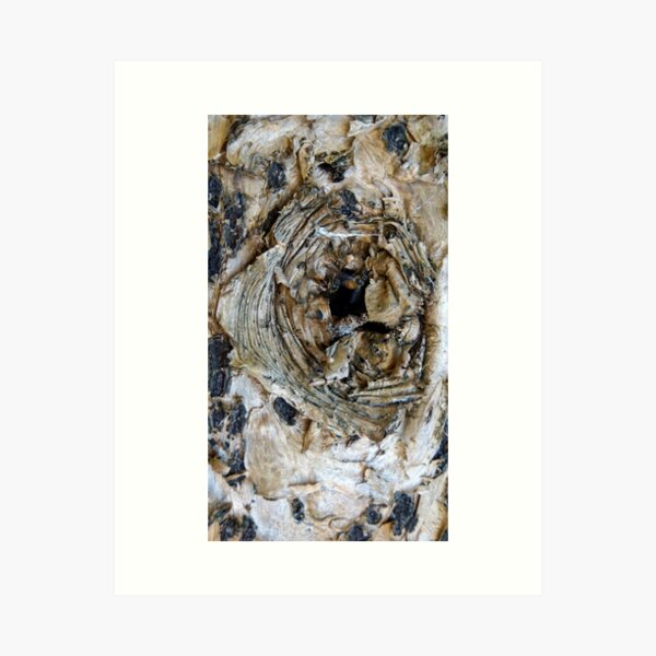 Item preview, Bees knees - by South Australian artist Avril Thomas designed and sold by MagpieSprings.
