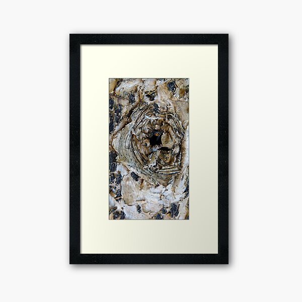 Bees knees - by South Australian artist Avril Thomas Framed Art Print