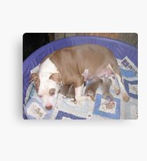 Rose And Her New Babies Metal Print