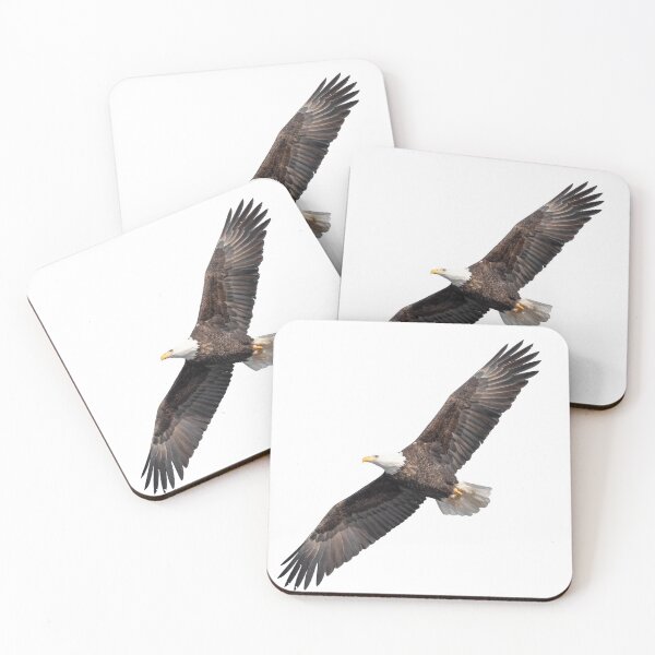 Item preview, Isolated Bald Eagle 2019-8 A designed and sold by Thomasyoung.