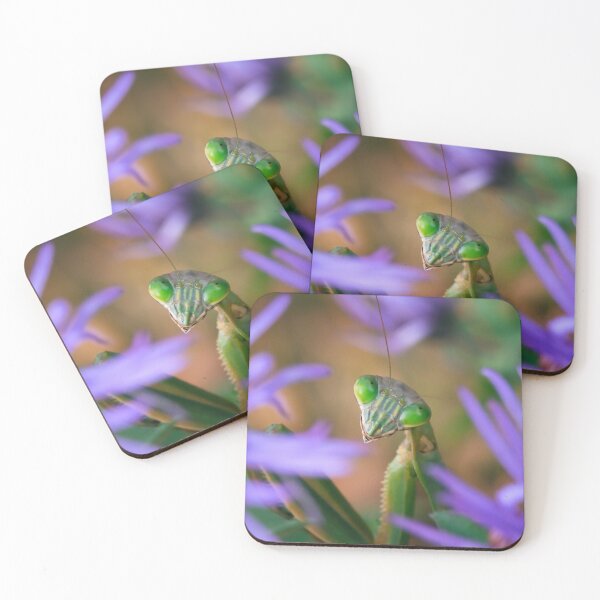 Item preview, Beauty Shot designed and sold by dlamb.