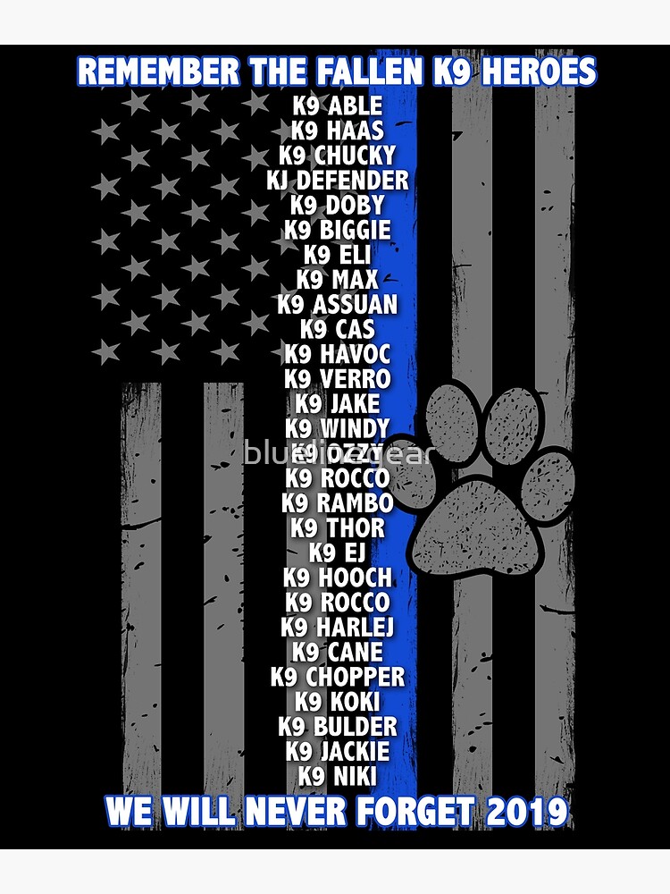 The Truth about the Thin Blue Line Flag • The Havok Journal