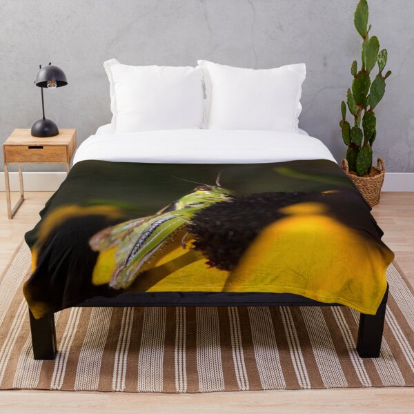 Item preview, El viejo buffet de la pradera ... designed and sold by Jay Madden photographer.