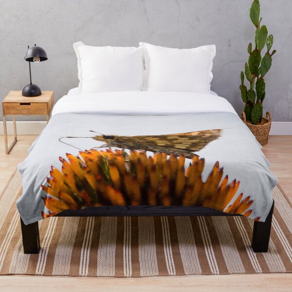 Item preview, Buenos dias patrón! designed and sold by Jay Madden photographer.