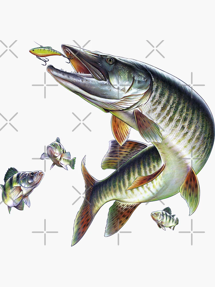 Muskie Fishing Sticker for Sale by Salmoneggs