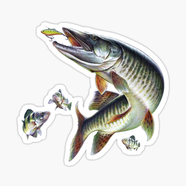 Muskellunge Stickers for Sale