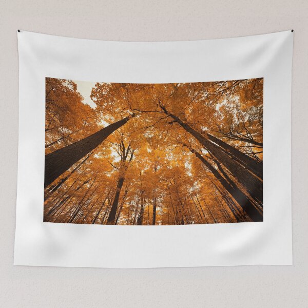 Item preview, "Converge in Deep Gold" designed and sold by RCNaturephotos.