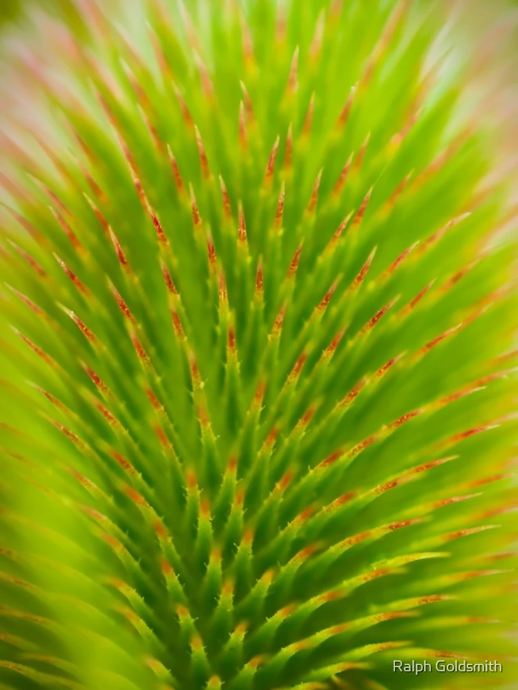 Thumbnail 4 of 4, iPhone Case, Spikey designed and sold by Ralph Goldsmith.