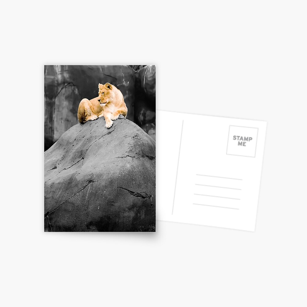 Item preview, Postcard designed and sold by DaogreerEarth.