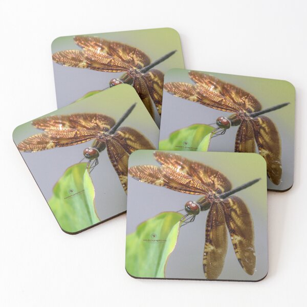 Item preview, Bronze Flutterer designed and sold by Wanderingeagles.