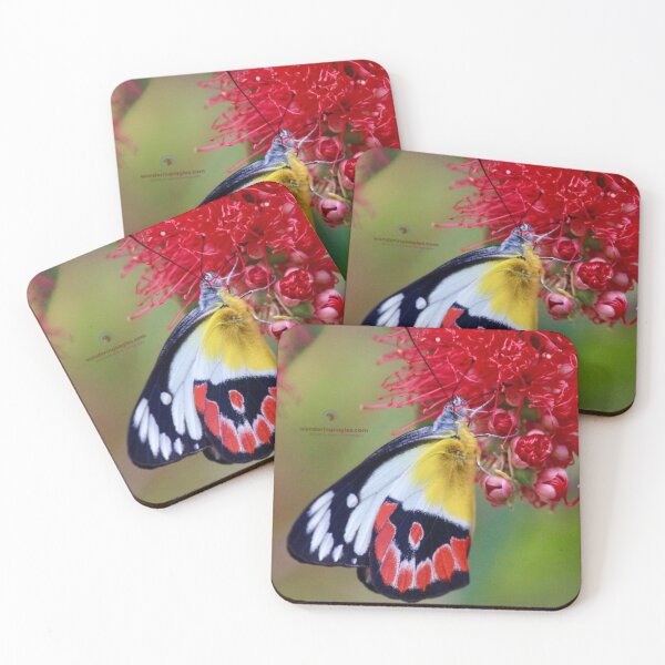 Item preview, Northern Jezebel  designed and sold by Wanderingeagles.
