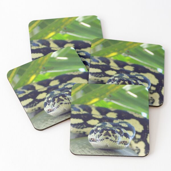 Item preview, Atherton Jungle Python  designed and sold by Wanderingeagles.