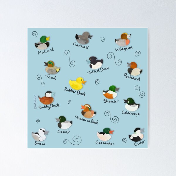 Item preview, British Ducks Pattern designed and sold by Elliestrations.