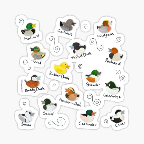 British Ducks Pattern Sticker