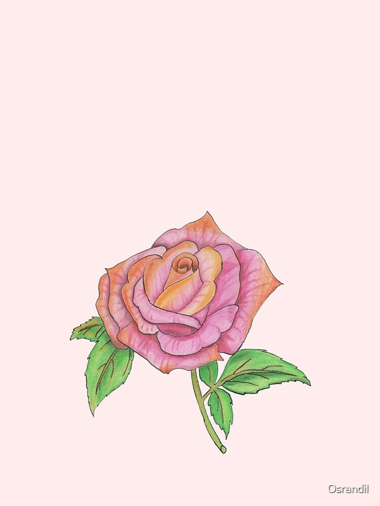 Colorful Rose by Osrandil